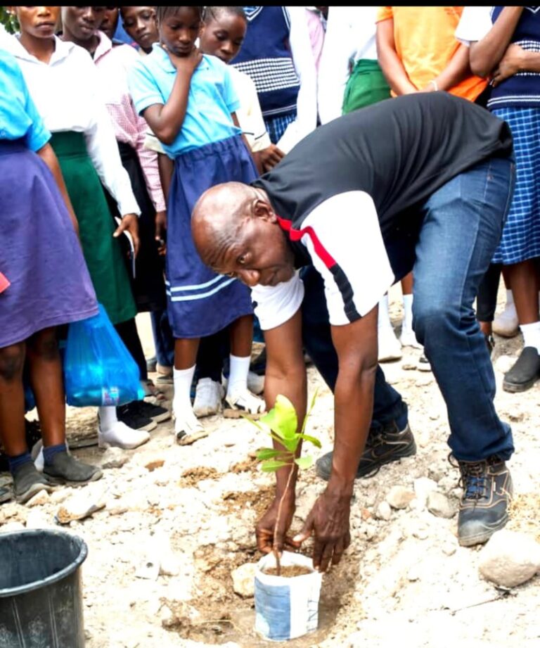 World Forests Day: Dangote Cement Transport Rolls Out Large-Scale Tree Planting At Obajana 